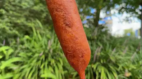 Hand-dipped corn dog at Sleepy Hollow Refreshments