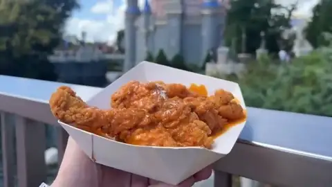 Buffalo chicken strips with ranch seasoning at Cosmic Ray's Starlight Café