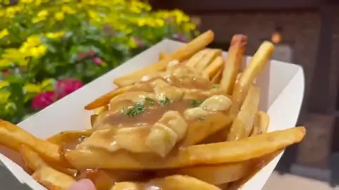 Truffle mushroom poutine fries at The Daily Poutine