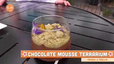 Chocolate mousse terrarium at Trowel and Trellis