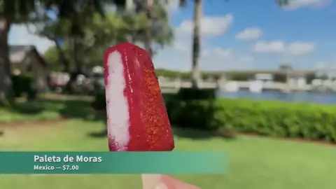 Paleta de mora berry ice pop at Mexico booth