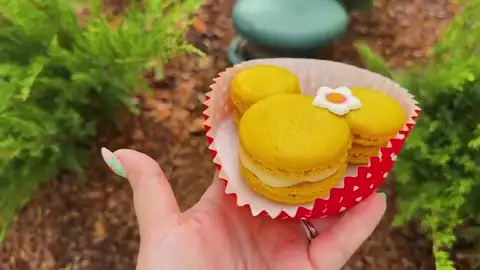 Lemon violet macaron at Sunshine Seasons