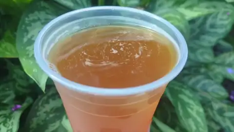 Jurassic World Isla Nublar IPA at Thunder Falls Terrace