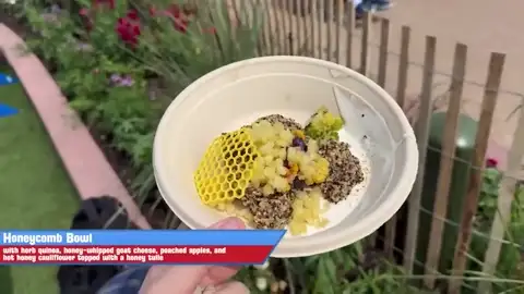 Honeycomb bowl with hot honey cauliflower at Honeybee Bistro
